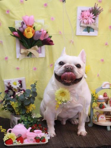 20230304まろんくん